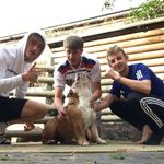 @harry.denton__ - Instagram