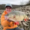 HarryDeMont - @harrydemont19 - TikTok