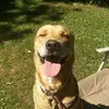 harrymcdevitt732 - @harrymcdevitt732 - TikTok