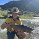 Harry Dickson - @harry996880 - Instagram