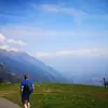 harrydiederichs - @harrydiederichs - TikTok