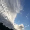 harry ding - @harry.ding3 - TikTok