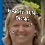 Harry Ding Dong. - @hwhdhrjwishh - Instagram