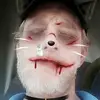 Harry Dingman - @harrydingman - TikTok