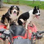 Harry Dodds - Facebook
