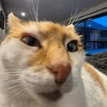 Harry Dodds - @harrys_notshitposting - Instagram