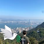 Harry Dodgson - @yamatoo_232011 - Instagram