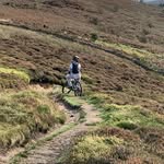 HarryDodgson - @harry_dodgson - Instagram
