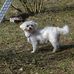 Harry Doerr - Facebook