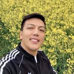 Harry Dong - @mohammed_harry0085 - Instagram