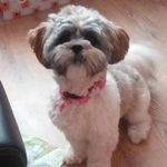 Harry Dooley - @hazdoo09 - Instagram