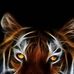 Harry Dunham - Facebook
