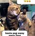 Harry Duran - Facebook