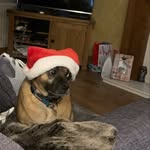 Harry Eason - @ted_is_the_goat - Instagram