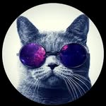 Harry Edmonds - @edmo_h67 - Instagram