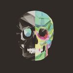 Harry Edmonds - @edmonds.harry - Instagram