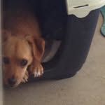 Harry Egan - @_.harry.egan._ - Instagram