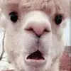 Harry - @harryegan07 - TikTok