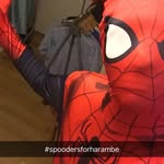 Sc~hegan6 - @harryegan0401 - Instagram