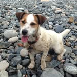 Harry Elkington - @harryelkington - Instagram