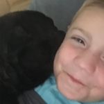 Harry Ely - @harryjely - Instagram