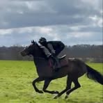 Harry Enright - Facebook