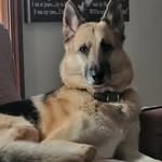 Harry Eppinger - @harryeppinger - Instagram