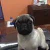 Harry Ernesto🐾 - @harryernesto - TikTok
