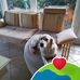 Harry Ernst - Facebook