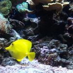 Harry Ernst - @harry.ernst.50 - Instagram