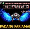 HARRY FALCON 🎹 - @harryfalcon77 - TikTok