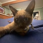 Harry Falloon - @harry_falloon - Instagram