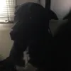 HarryFarquharson - @hazzbro7465 - TikTok