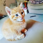 Harry Farr - @farrharry776 - Instagram