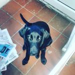 harry Farrington - @farrington.harry - Instagram