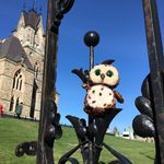Harryfeatherstone - @harryfeatherstone2128 - Instagram