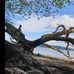 Harry Fegan - Facebook