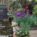 Harrie Venner - Facebook