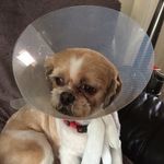 Harry Fellows - @harry.fellows.92 - Instagram