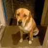 Harry Ferris - @fresia.01ferris - TikTok
