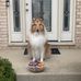 Harry Feirstein - Facebook
