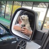 Harry Fielding415 - @harryfielding4321 - TikTok