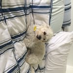 Harry fielding - @harryfielding856 - Instagram