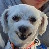 Harry.Fielding - @harry.fielding653 - TikTok