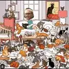 Harry Fleckenstein - @harryfleckenstein - TikTok