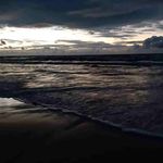 Harry Forrest - @harry.forrest - Instagram