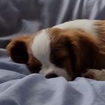 harry franks - @hfranks67 - Instagram