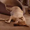 Harry Franks - @harry.franks7 - TikTok