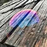 Harry Franks - @harry.franks67 - Instagram