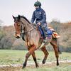 Harry Fry Racing - @harryfryracing - TikTok